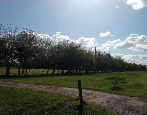 Imagen 10 de 26 de Exclusiva Fracción Ideal Desarrollo Inmobiliario - Zona De Alto Crecimiento