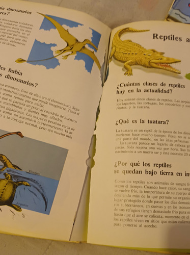 Gran Libro De Preguntas Y Respuestas De Carlitos Charlie (Usado)