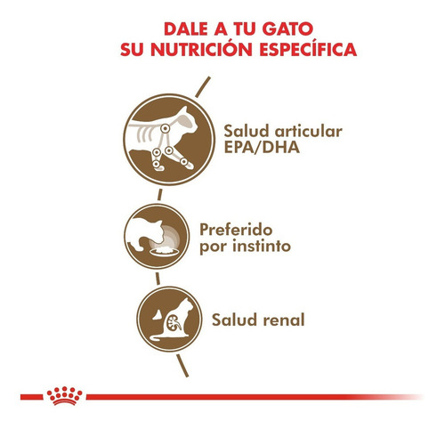 Royal Canin Feline Health Nutrition Ageing 12+ Gatos 12 Unid