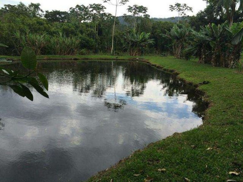 Excelente Chacara Em Camboríú. 100% Plana.lagos De Peixes - Dv019 - 3092046
