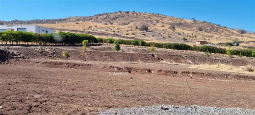 ¡baja De Precio¡. Sitio En Venta Cercado Y Riego Automát.