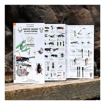 Comprar Libro Insectos Comunes De Chile Central Travel Books