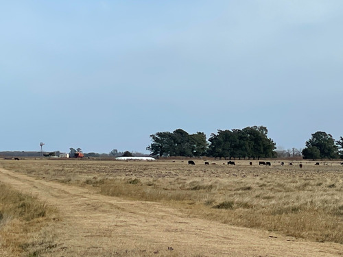 Imagen 1 de 11 de 66 Hectareas En Venta Sobre Ruta 29