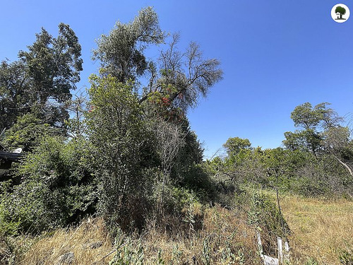 Sitio Para Proyecto Inmobiliario En La Reina