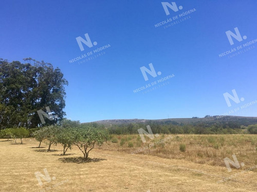 Imagen 17 de 22 de Venta Chacra En Maldonado - San Carlos Camino De Los Ceibos