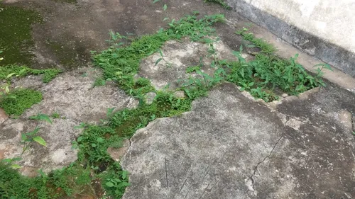 Terreno À Venda Em Jardim Girassol - Americana/sp.