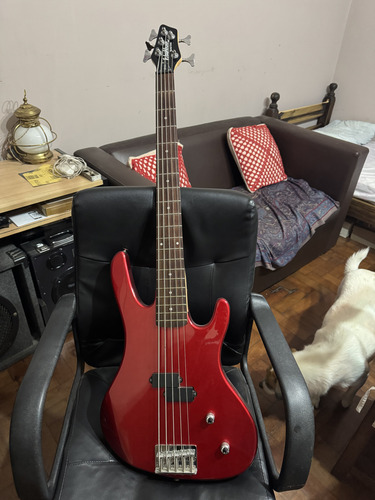 Bajo 5 Cuerdas Washburn Xb105 Muy Buen Estado Diestro Rojo Laqueado 5