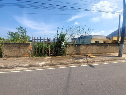 Imagem 1 de 7 de Terreno - Te00231 - 70821553