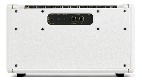 Amplificador De Práctica Para Guitarra Positive Grid Spark