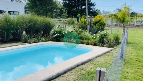 Venta Casa Viñedos Con Renta  3d Suite Dependencia Piscina Parrillero 