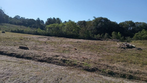 Terreno À Venda, 280 M² Por R$ 150.000,00 - Vila Nova - Porto Alegre/rs - Te0721