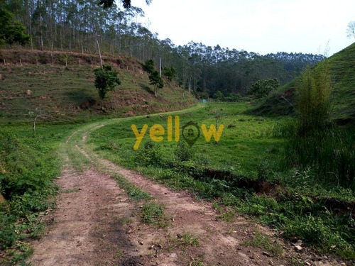 Imagem 5 de 11 de Rural - Cruz Branca - Ru-4005