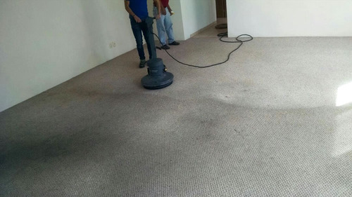 Imagen 4 de 10 de Limpieza De Alfombras Y Moquette Moquetas Carpetas Empresas