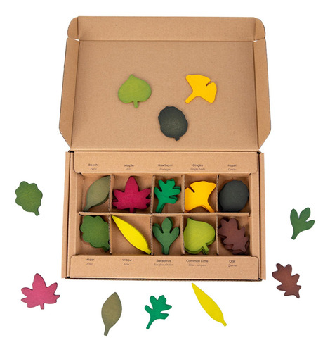 Rompecabezas De Madera Leaf Geografía Educativa Para Niños