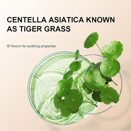 Cc Cream Con Centella Asiática, Cc Cream Correctora De