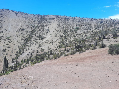 Sector Camino Las Casas De Quilpue, El Algarrobal