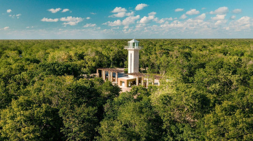 Venta De Terrenos En Senderos Poniente, Ciudad Mayakoba De 192 M2, Luxury