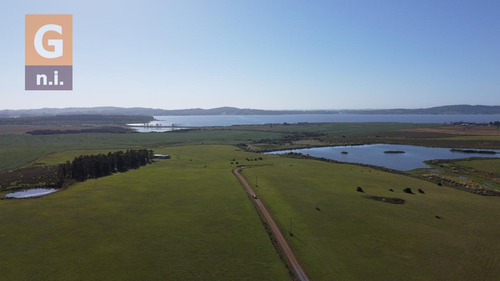 Campos Y Fracciones En Maldonado (laguna Del Sauce) - Ref. 4619