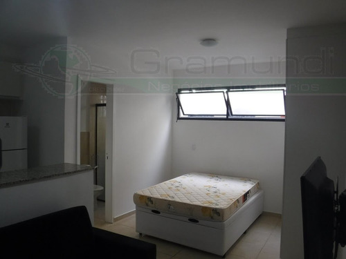 Apartamento Studio Para Aluguel, 1 Dormitório(s), 30.0m² - 5317