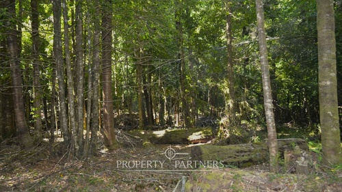 Lindo Terreno En Reserva Biológica Huilo Huilo