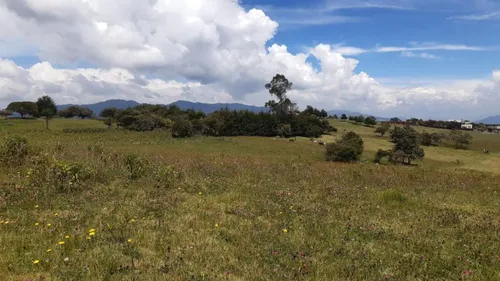 Lote En Venta En La Calera. Cod V1614270