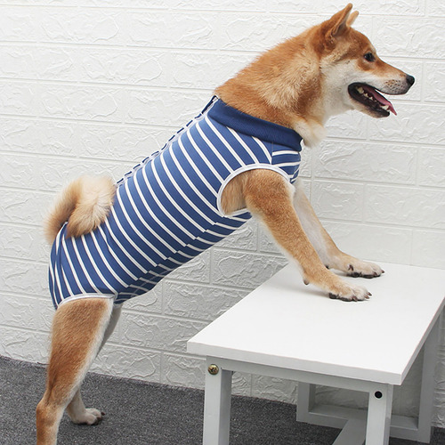 Traje De Recuperación Para Perros Transpirable De Verano Con