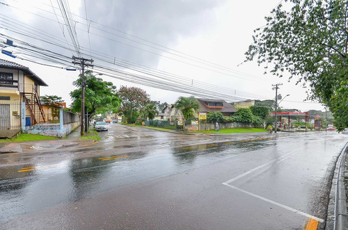 Imagem 6 de 30 de Terreno - Residencial - 923808