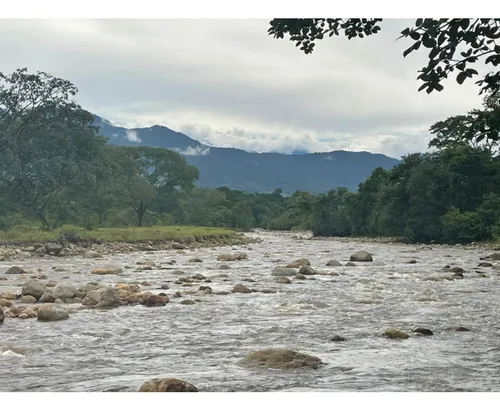 Vendo Gran Finca En Guamal Meta