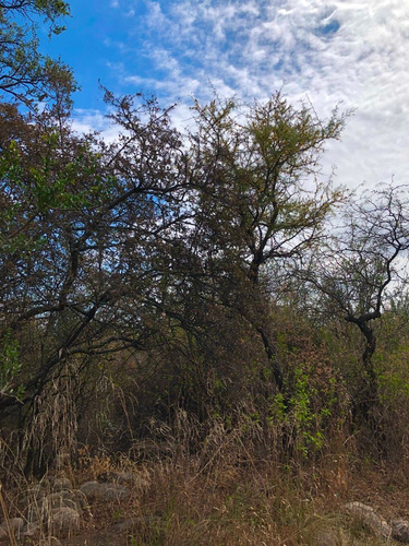 Imagen 6 de 14 de Lote De 2500 M2 Ubicado En Las Chacras - Villa De Las Rosas