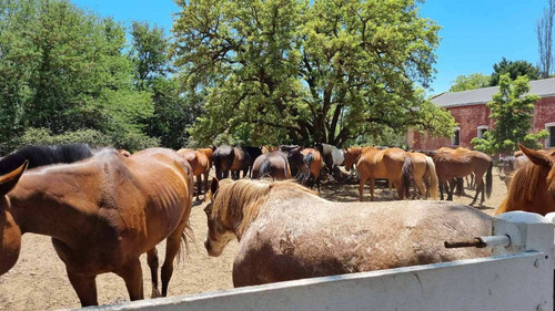 Imagen 19 de 29 de Venta Lote / Chacra En Estancia El Aduar - Zarate