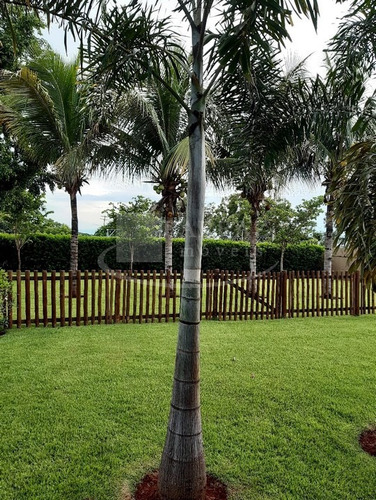 Chacara Mobiliada Em Jardinopolis, Condominio Village 2, 3 Suítes Sendo1 Master, Piscina E Salão Gourmet Em 2.000 M2 De Area Total - Ch00051 - 68999436