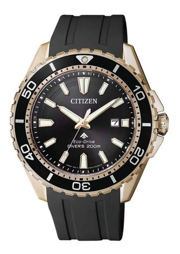 Reloj Citizen Promaster Bn019317e Hombre Color de la malla Negro Color del bisel Dorado Color del fondo Negro