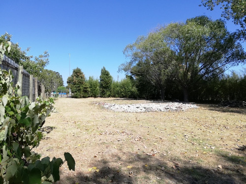 Terreno 1600m2 C/galpón 45m2 Ose Valioso Entorno Rural. R.34