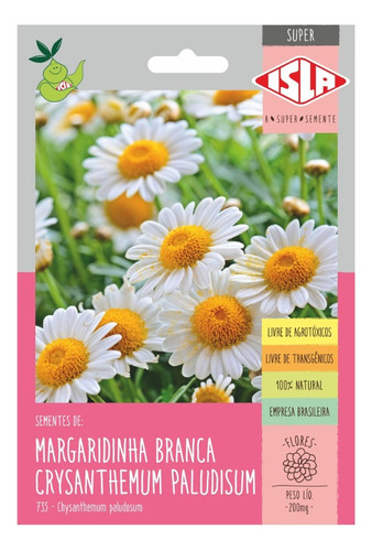 379 Sementes/ 200mg De Margaridinha Branca - Crysanthemum