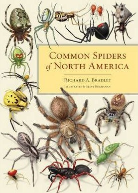 Libro Common Spiders Of North America - Richard A. Bradley