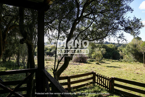 5 Has Cabaña - Chacra Ruta 60 - Campo Minas