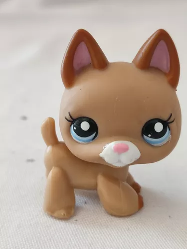 Littlest Pet Shop - 16754 - Poupée - Maison Vitrine