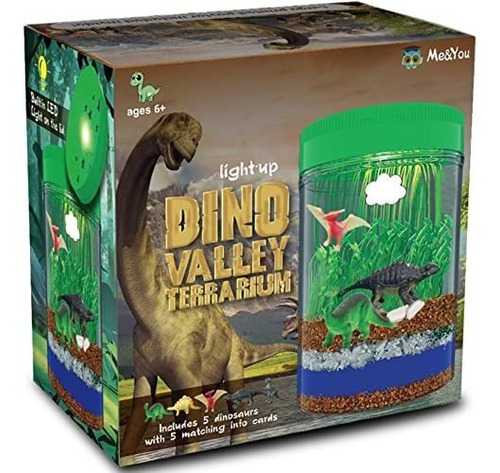 Kit Terrario Dinosaurio Iluminado - Regalos Cumpleaños