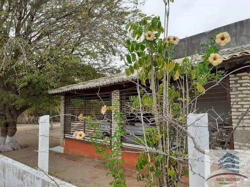 Imagem 22 de 25 de Granja A Venda Em Macaíba