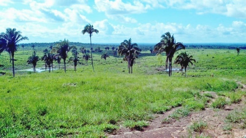 Imagem 5 de 27 de Fazenda 29.752 Alqueires, Rica Em Água Com Represa E Lagos, Triplo Aptidão, 20 Mil Alqueires Em Pastagens, Casa Sede Duplex, Pista De Pouso Asfaltada - Fa00131 - 70272151