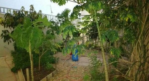 Casa Com 4 Dormitórios À Venda, 528 M² Por R$ 1.500.000,00 - Parque São Quirino - Campinas/sp - Ca4435