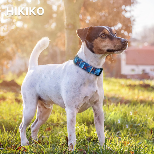 Collar Ajustable Hikiko Para Perros Pequeños Y Medianos