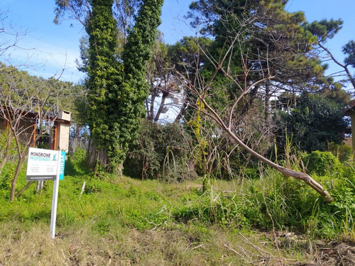 Imagen 1 de 6 de Cod 349 Lote Urquiza