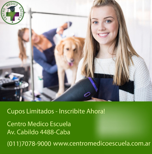 Imagen 2 de 4 de Curso De Peluqueria Canina Profesional.centro Médico Escuela