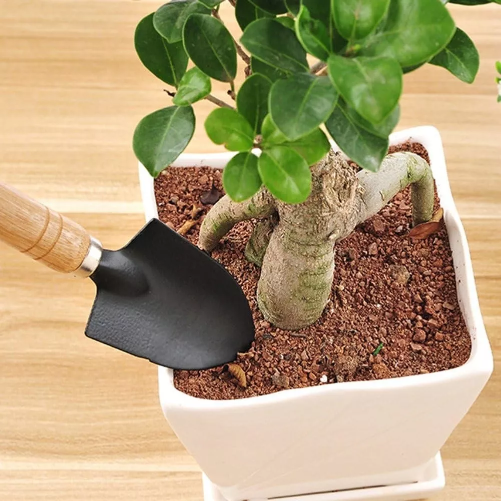 Tercera imagen para búsqueda de kit jardineria