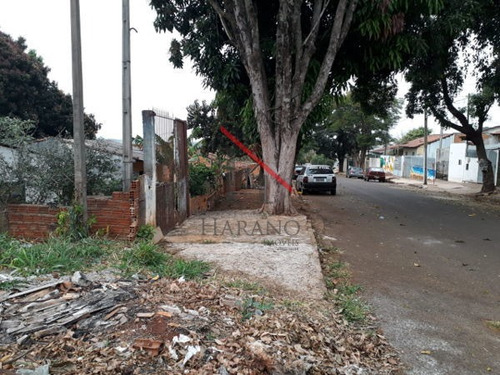 Imagem 7 de 7 de Terreno Em Rua - 323677-v