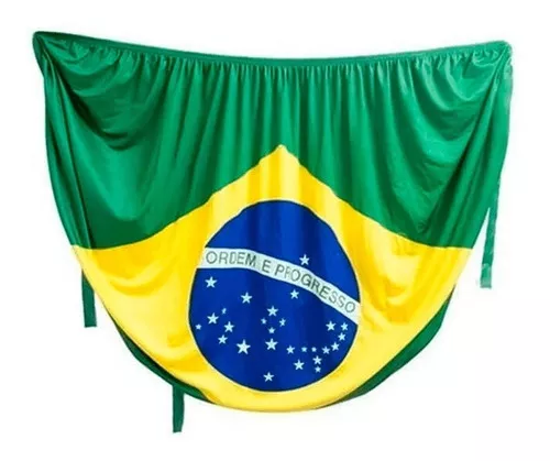 Terceira imagem para pesquisa de bandeira do brasil para carro