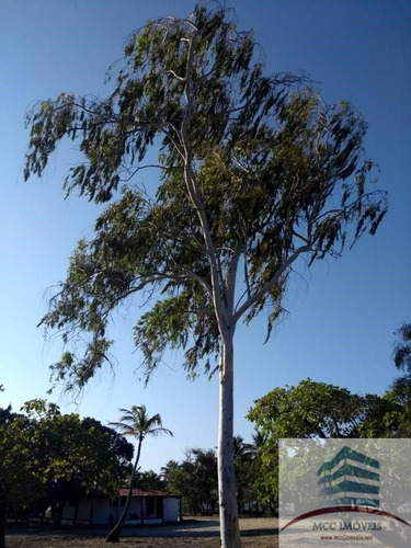 Chácara A Venda Beira A Lagoa Da Boa Água