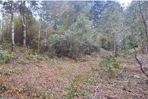 Venta De Terreno En Caburgua
