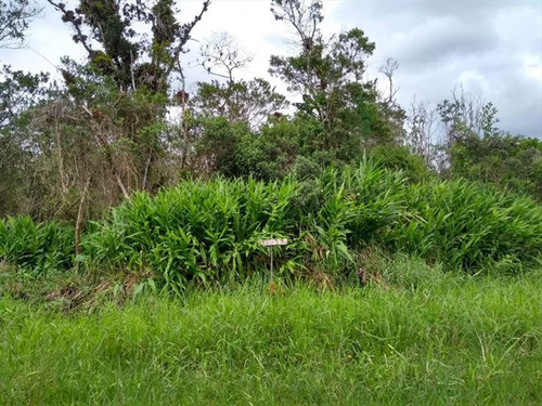 Imagem 5 de 8 de Terreno - Venda - Indaia - Itanhaem - Ita2701